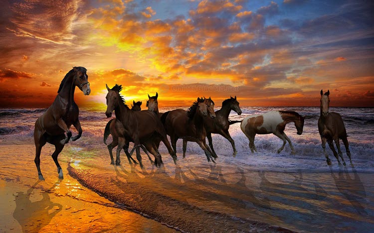 Mơ thấy ngựa thường là điềm lành